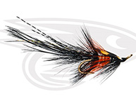 Black PBP Shrimp