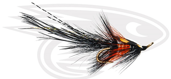 Black PBP Shrimp
