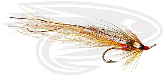 Girnel Shrimp