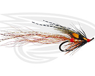 Stenton Shrimp