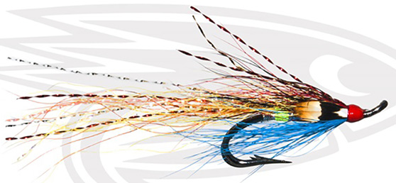 Tronach Shrimp