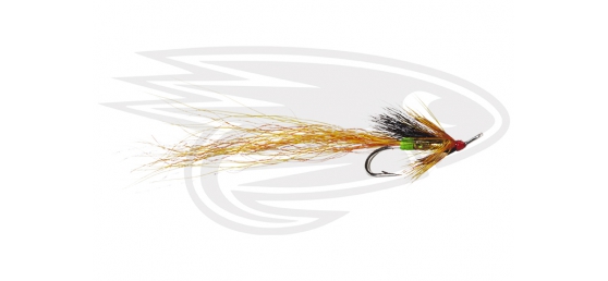 Carron Shrimp