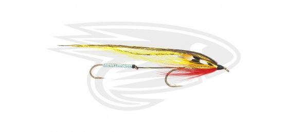 Steelhead Tandem - Danny's Dream