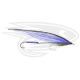Steelhead Tandem - 082 Basic