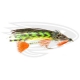 Trout Tandem - F.G. Perchaude