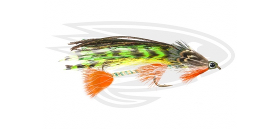 Trout Tandem - F.G. Perchaude