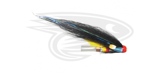 TD-Night Hawk