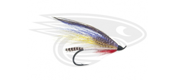 Black Salmon - Magog Smelt