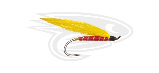 Black Salmon - Red Eagle
