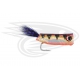 Crease Fly Purple
