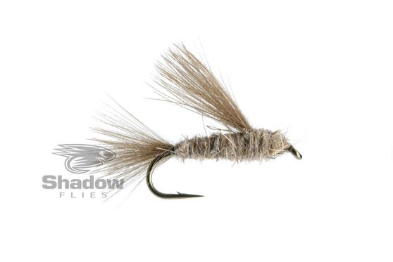 CDC Caddis