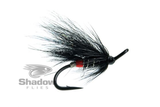 Black Bear Red