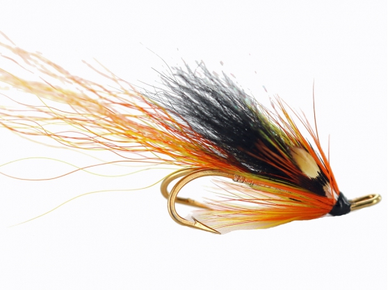 Ally's Cascade Shrimp JC