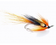 Ally's Cascade Shrimp JC