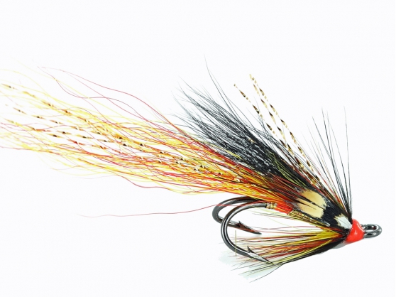 Golden Willie Gunn Cascade