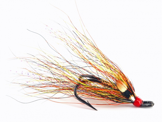 Gold Body Willie Gunn JC