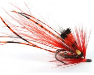 Ally's Shrimp Supersquid JC