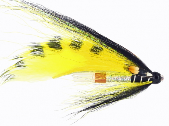 TigetTail Black & yellow