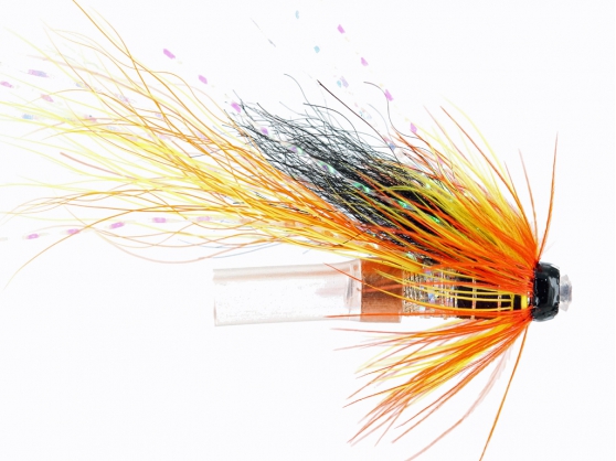Cascade Shrimp
