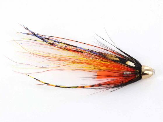 SuperSquid Willie Gunn