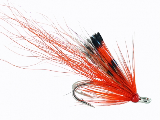 Naked Ally's Shrimp